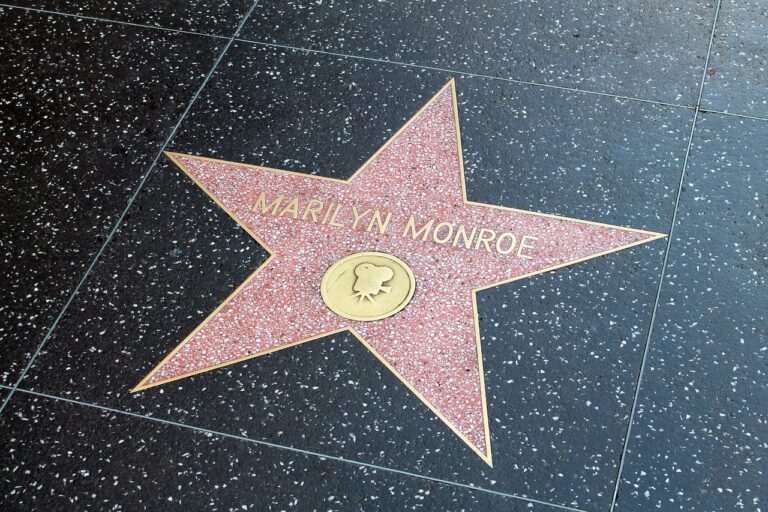 Hollywood Walk of Fame Steckbrief